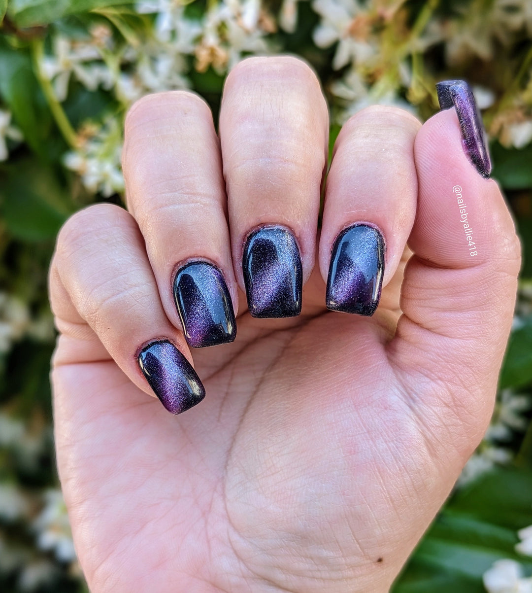 BALLOON ANIMALS (CAT EYE GEL)