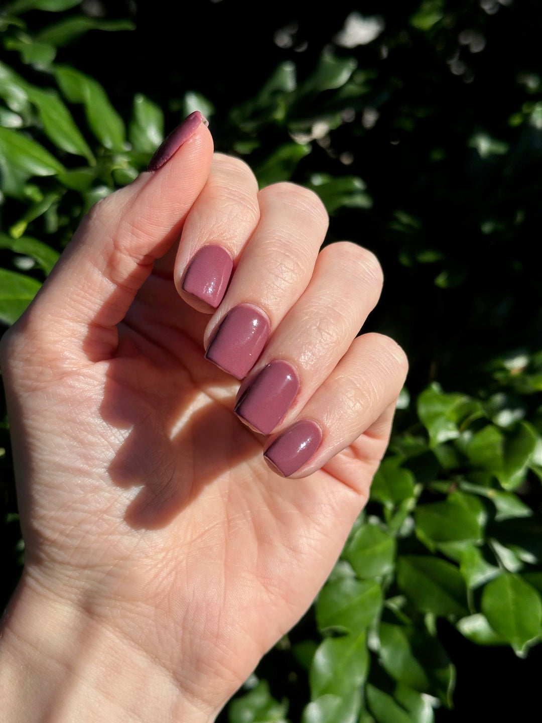 Mauve Over, Darling