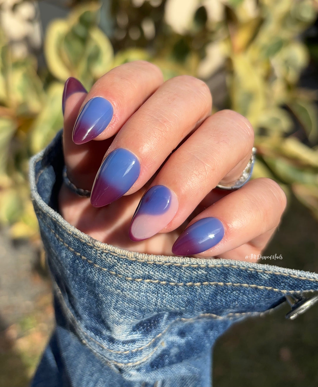 ENCHANTED ELIXIR (GEL) (TEMP)