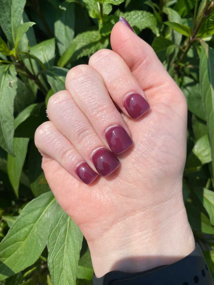 ENCHANTED ELIXIR (GEL) (TEMP)