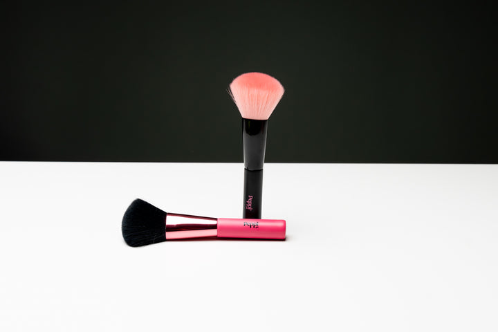 Duster Brush Duo