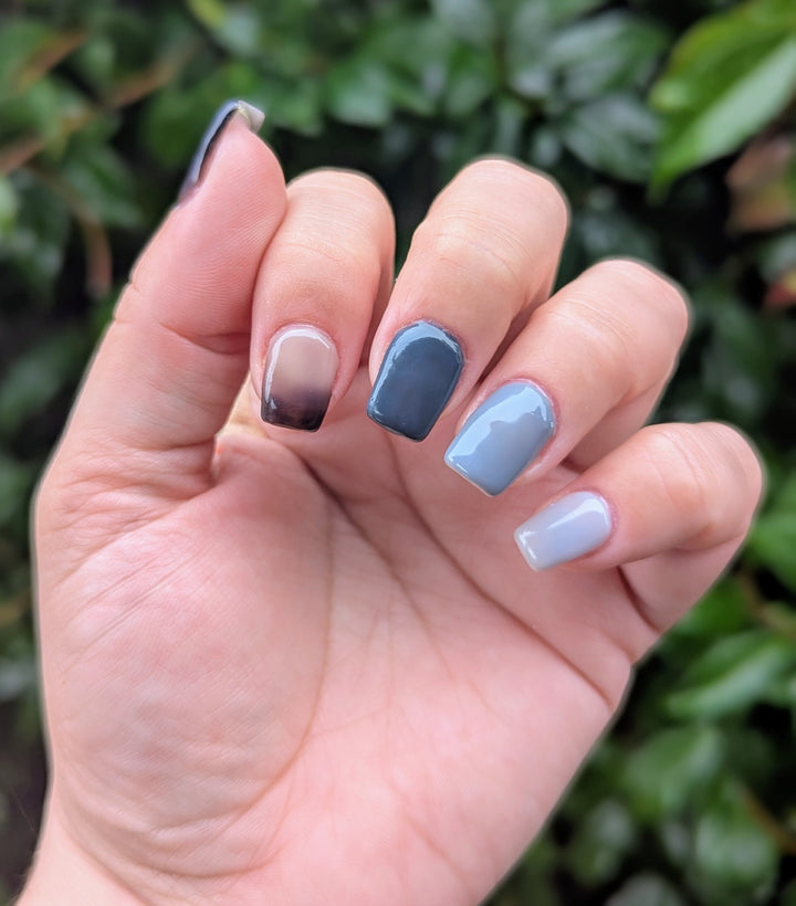 Winter Dreams Gel Collection