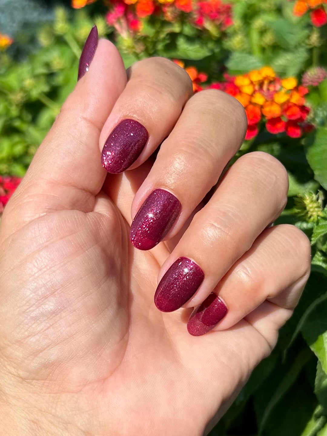 Mystic Maroon (Gel)