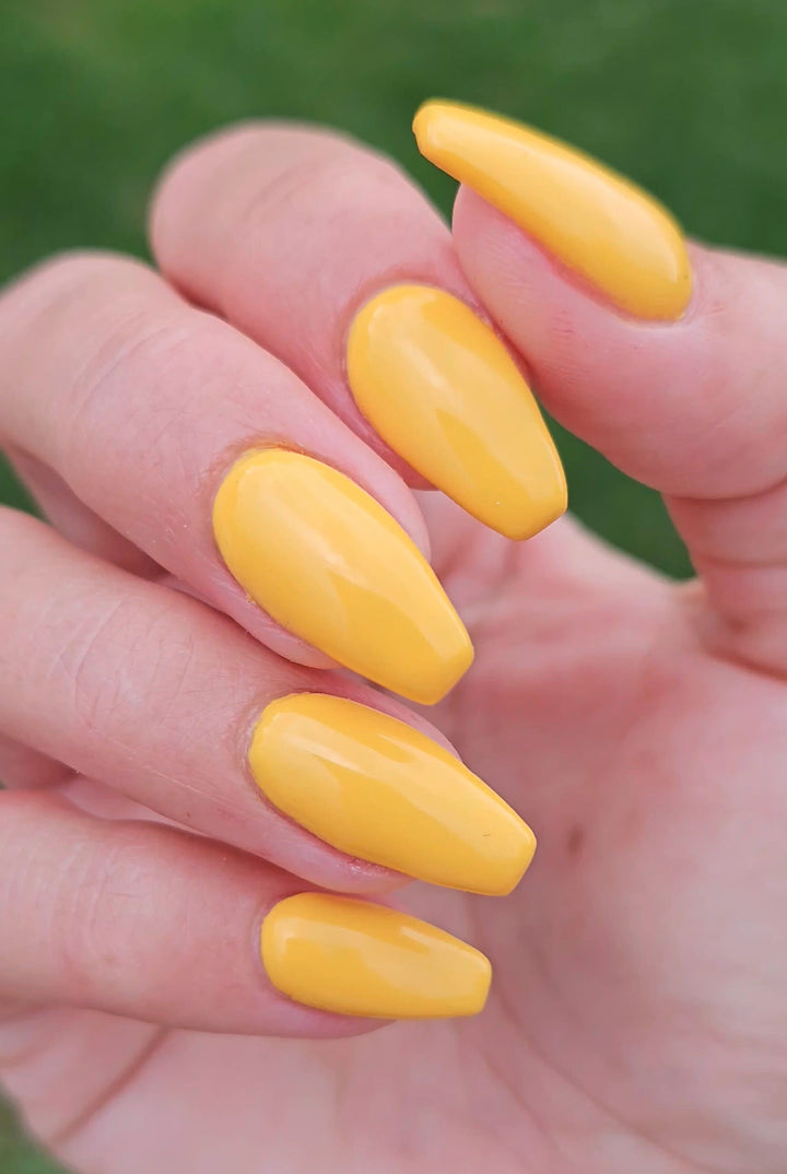 Yellow Maple (Gel)