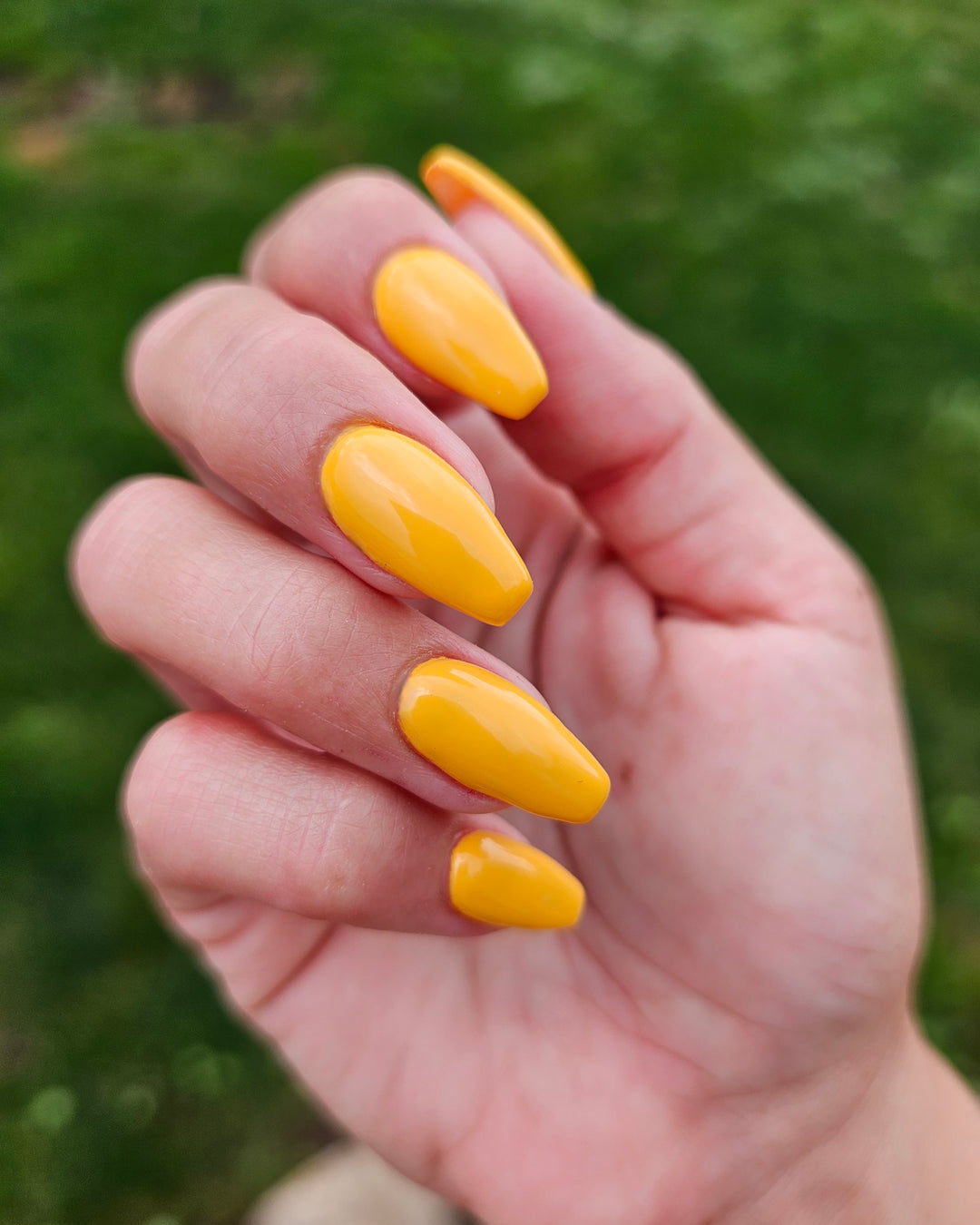 Yellow Maple (Gel)