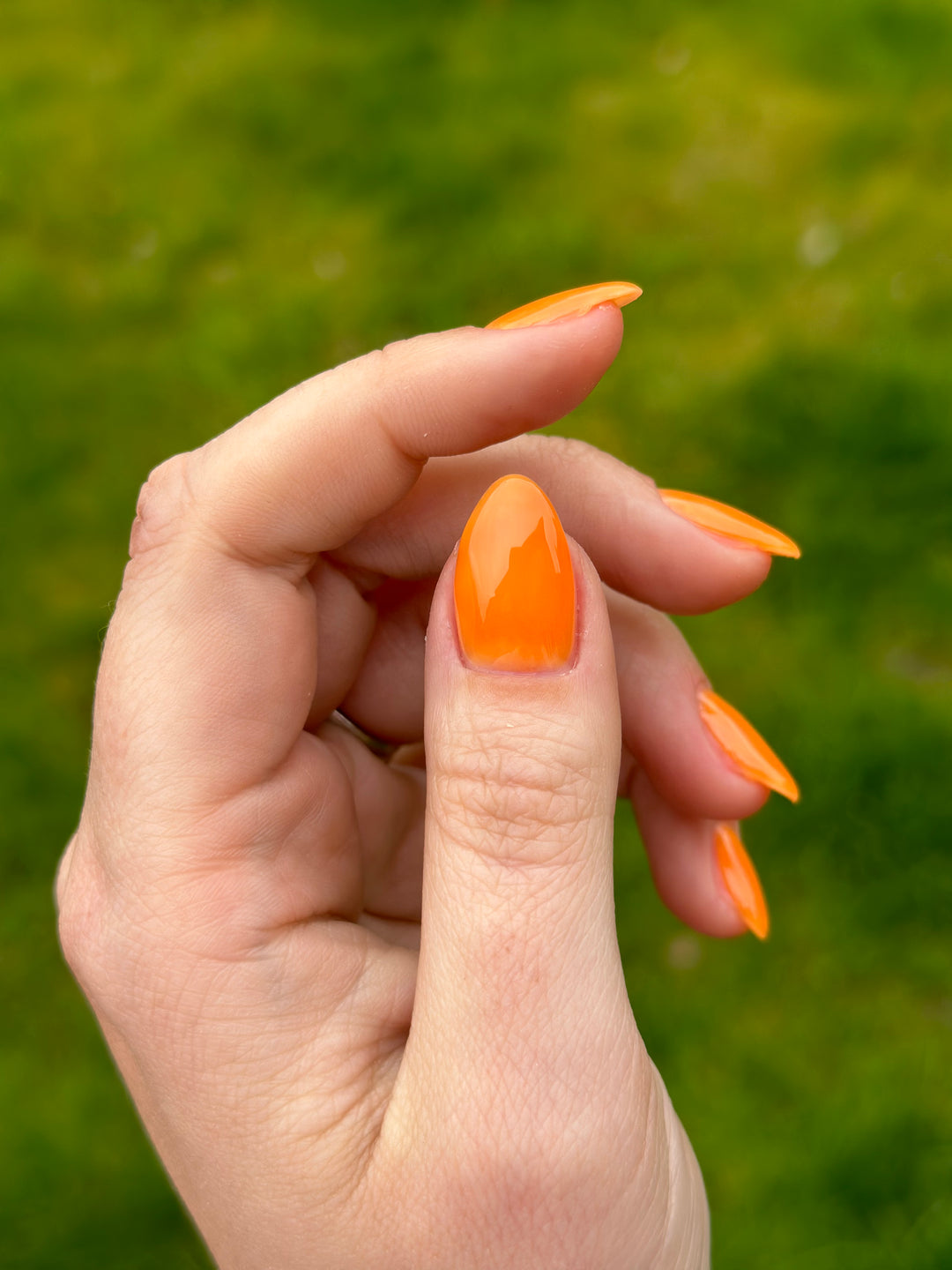 MARMALADE (GEL)