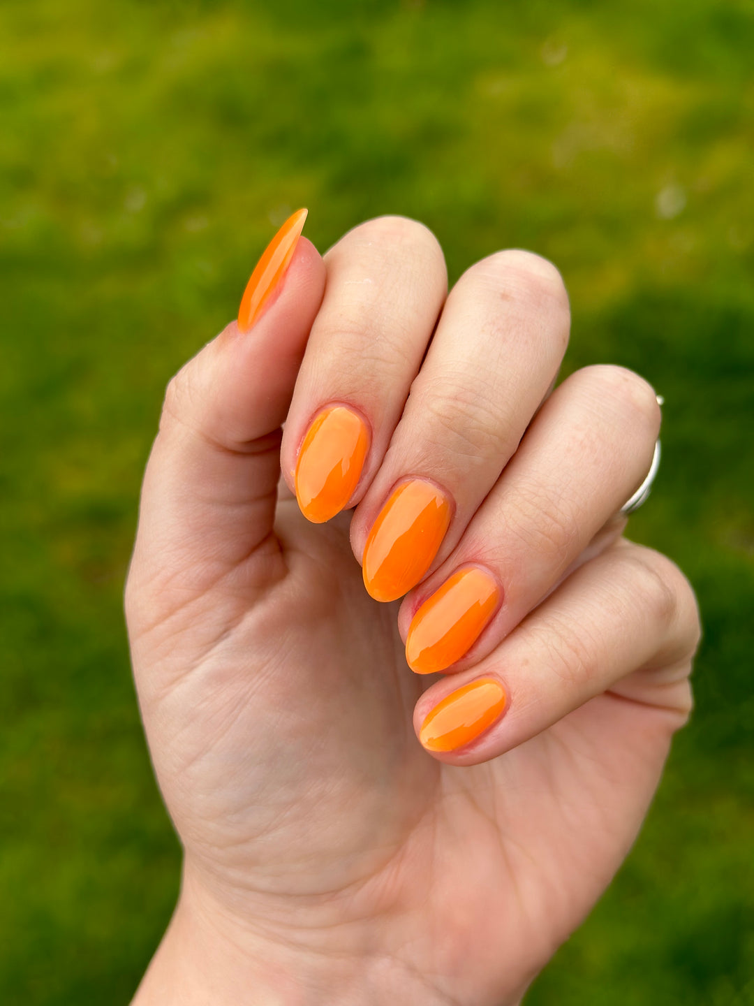 MARMALADE (GEL)