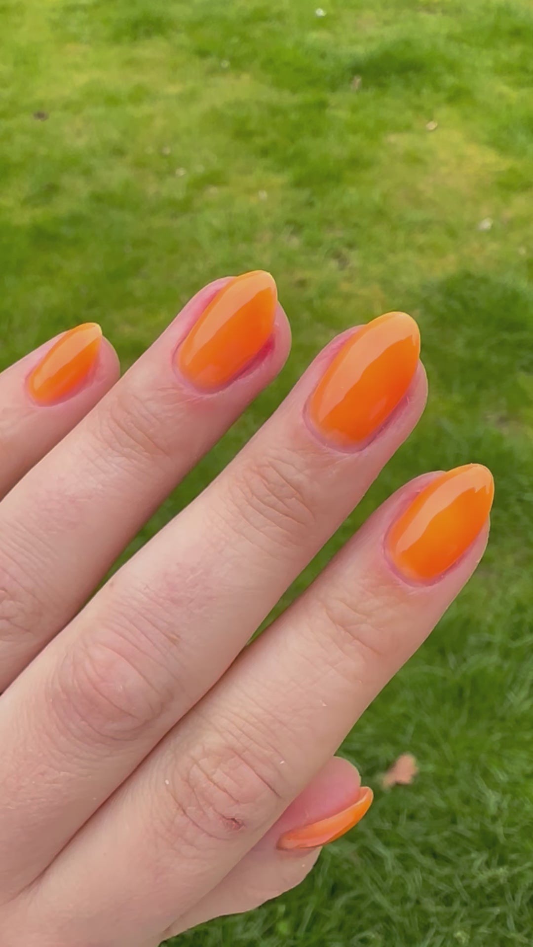 MARMALADE (GEL)